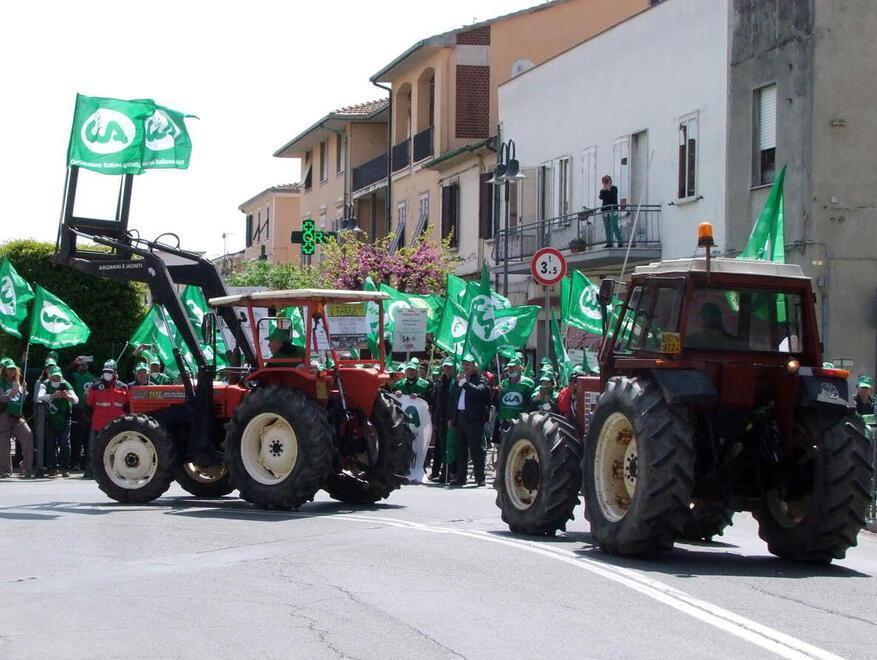 Alcuni momenti della manifestazione a Venturina (Foto Paolo Barlettan)