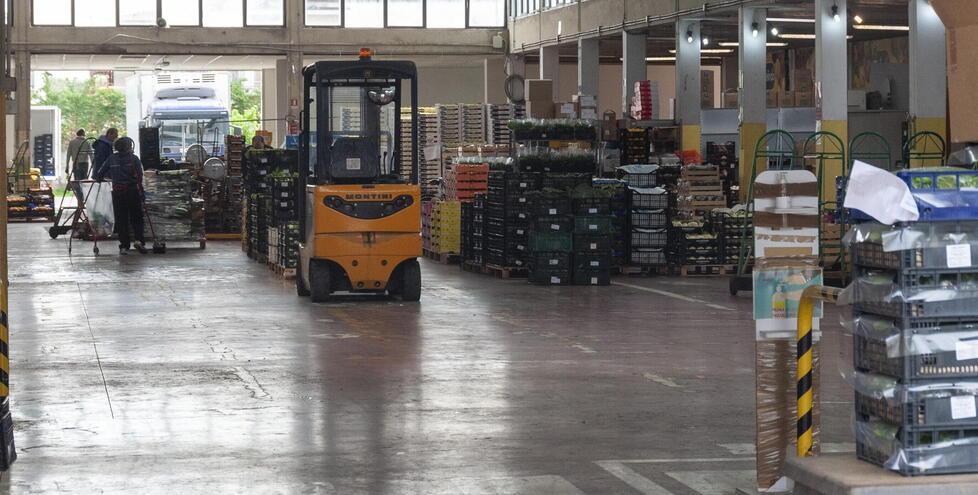 Via ai lavori per mettere in regola il mercato ortofrutticolo a Lido di Camaiore - Il progetto 
