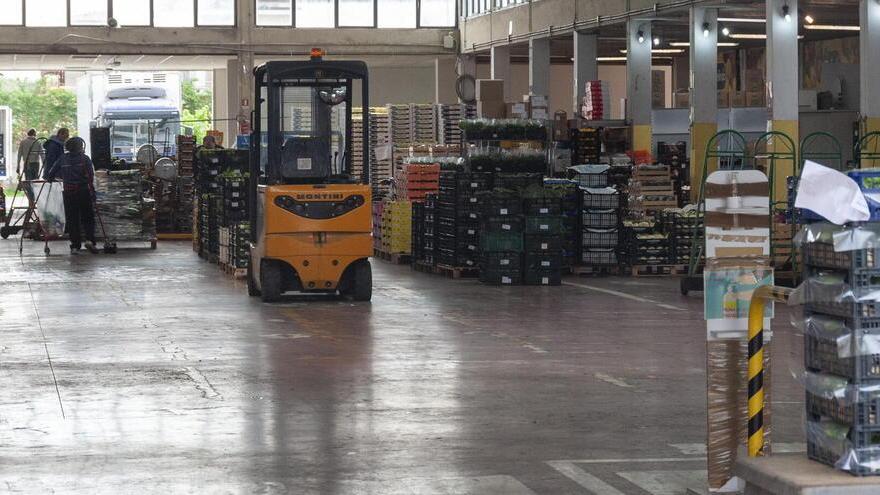 Via ai lavori per mettere in regola il mercato ortofrutticolo a Lido di Camaiore - Il progetto