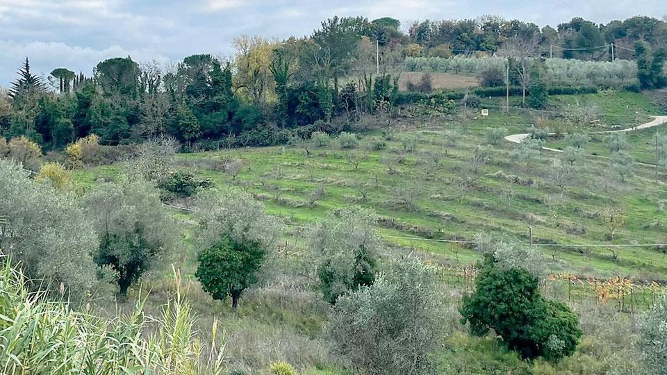 La zona scelta per la realizzazione del depuratore, all’ingresso del paese, accanto al campo sportivo