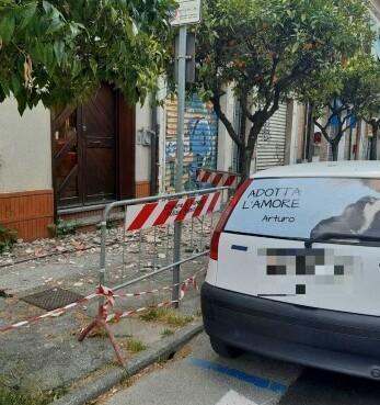 Viareggio, cane schiacciato dal cornicione in via Fratti: calcinacci ancora lungo la strada 