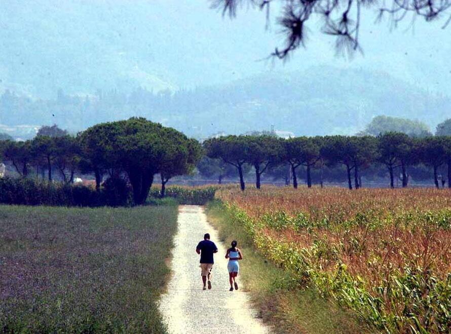 Dalla terra del latte alla terra dell’olio: la rinascita della Tenuta di Marinella 