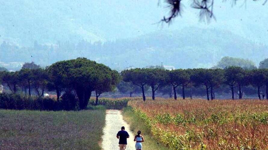 Dalla terra del latte alla terra dell’olio: la rinascita della Tenuta di Marinella