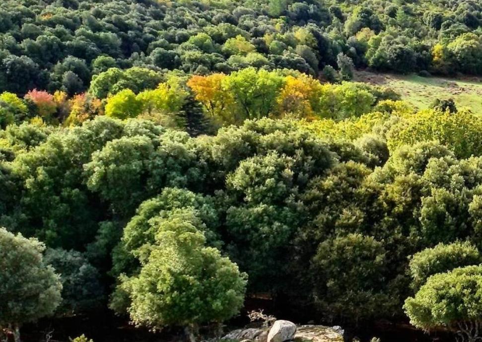 La Sardegna, un paradiso minacciato da piccole e grandi violenze 