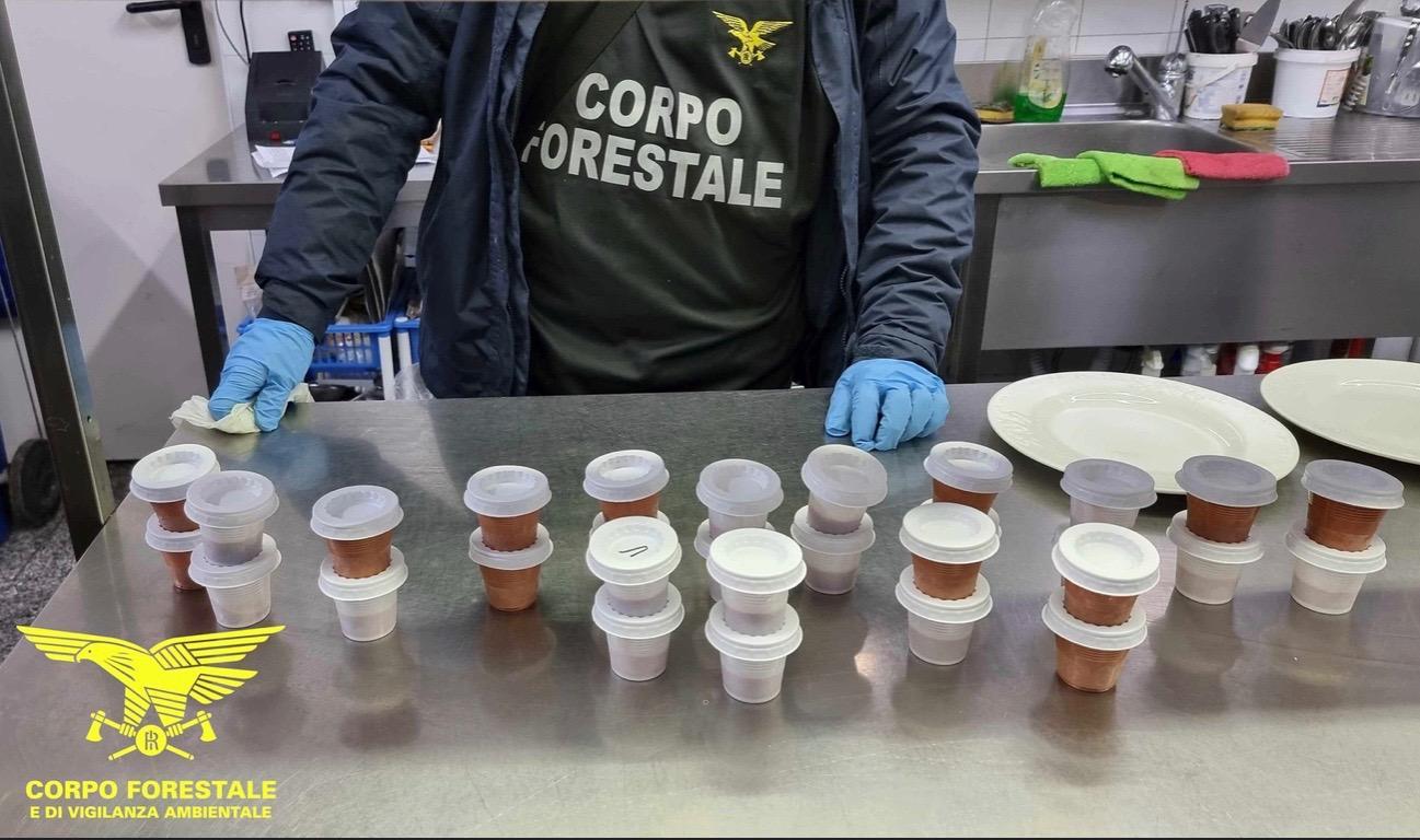 Cagliari, sequestrati quattro chili di polpa di riccio