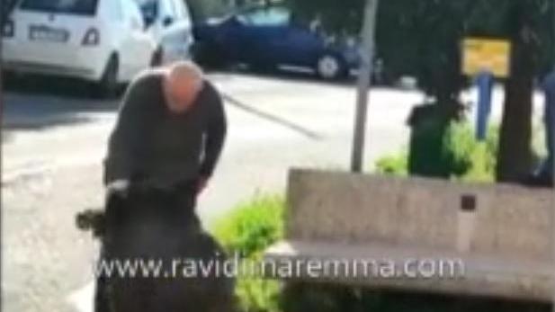 L'ex minatore di 79 anni allontana il cinghiale con uno schiaffone: il video è diventato virale
