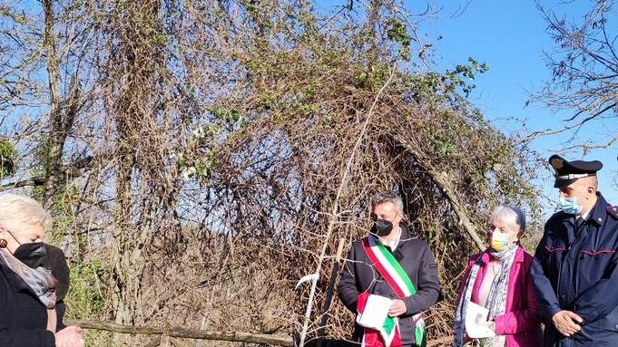 Zocca Una quercia per don Aurelio salvatore degli ebrei in fuga