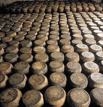 Fiore sardo, i pastori saranno parte lesa contro gli industriali