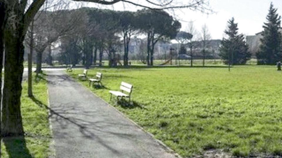 L’area verde di Maliseti dove c’è un progetto di forestazione