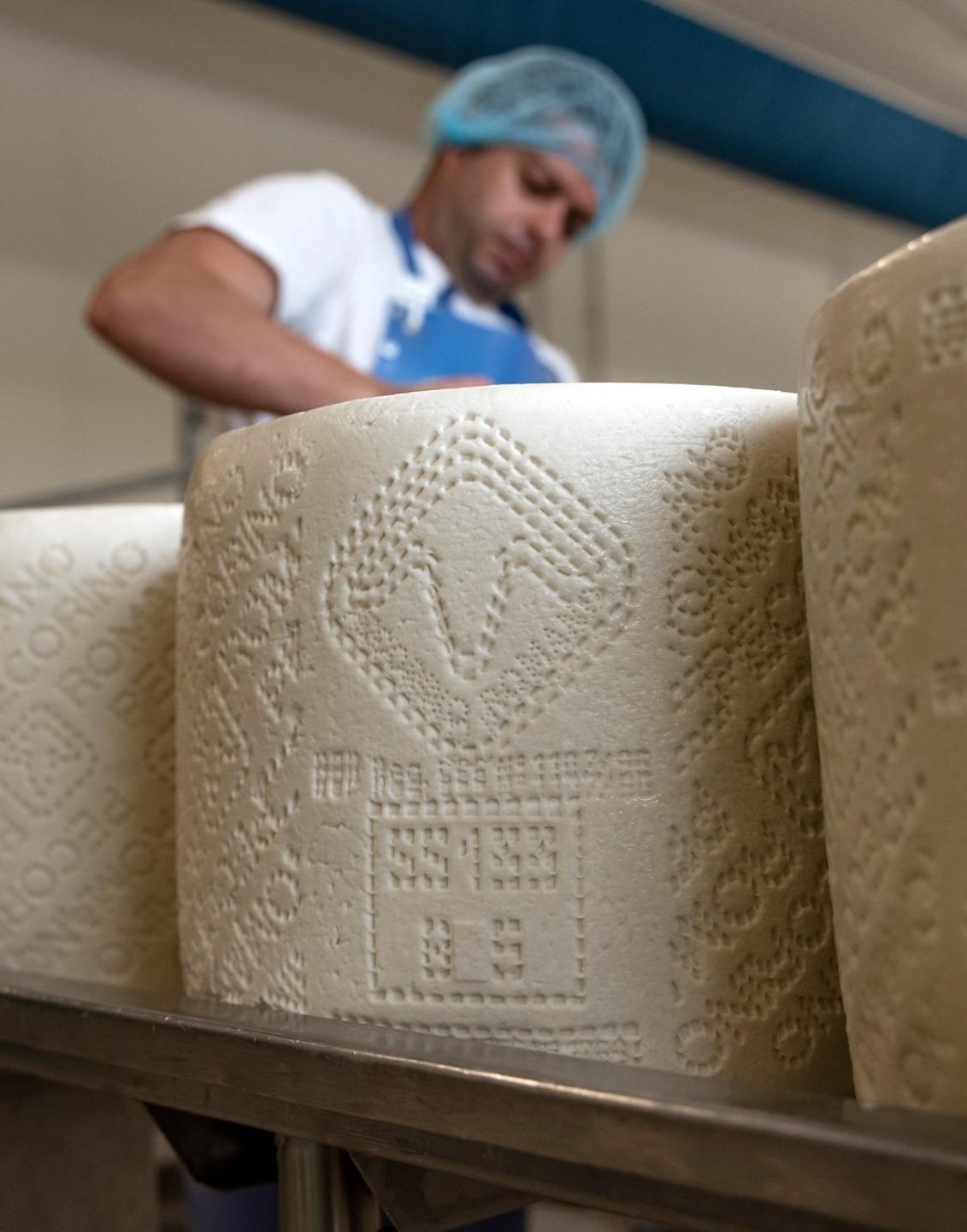 Pecorino romano, la crisi colpisce prodotto e ricavi 