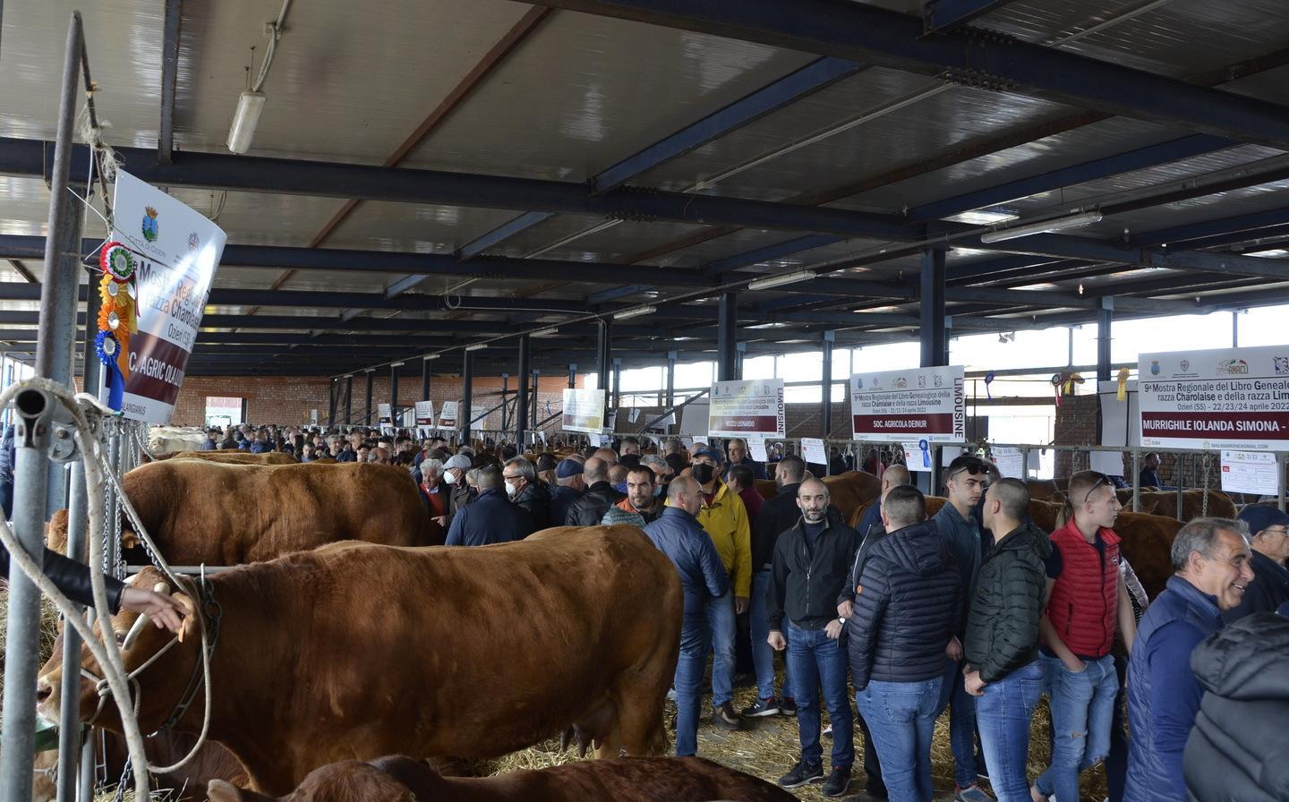 Fiera di Ozieri, weekend con oltre 15mila presenze 