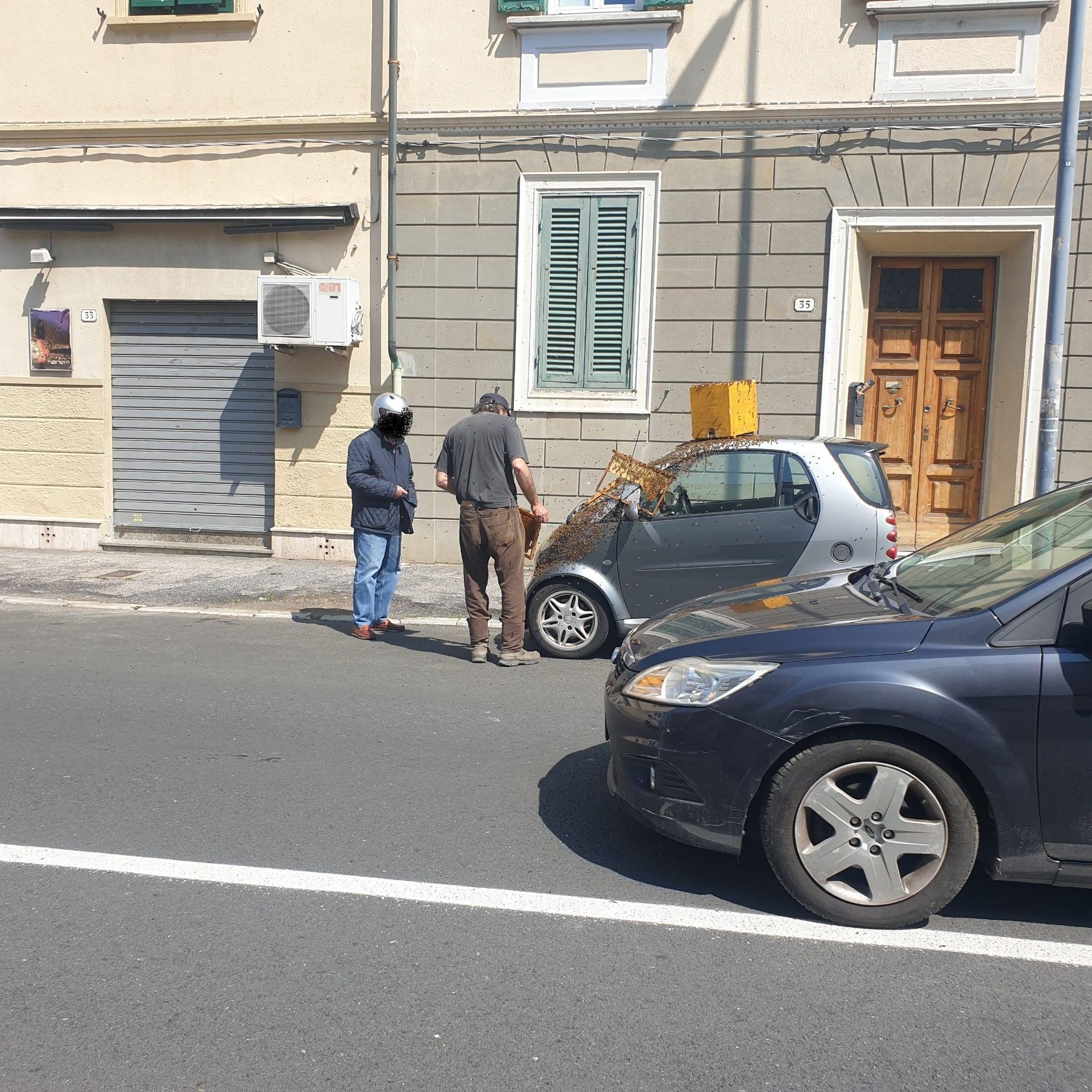 La Smart piena di api