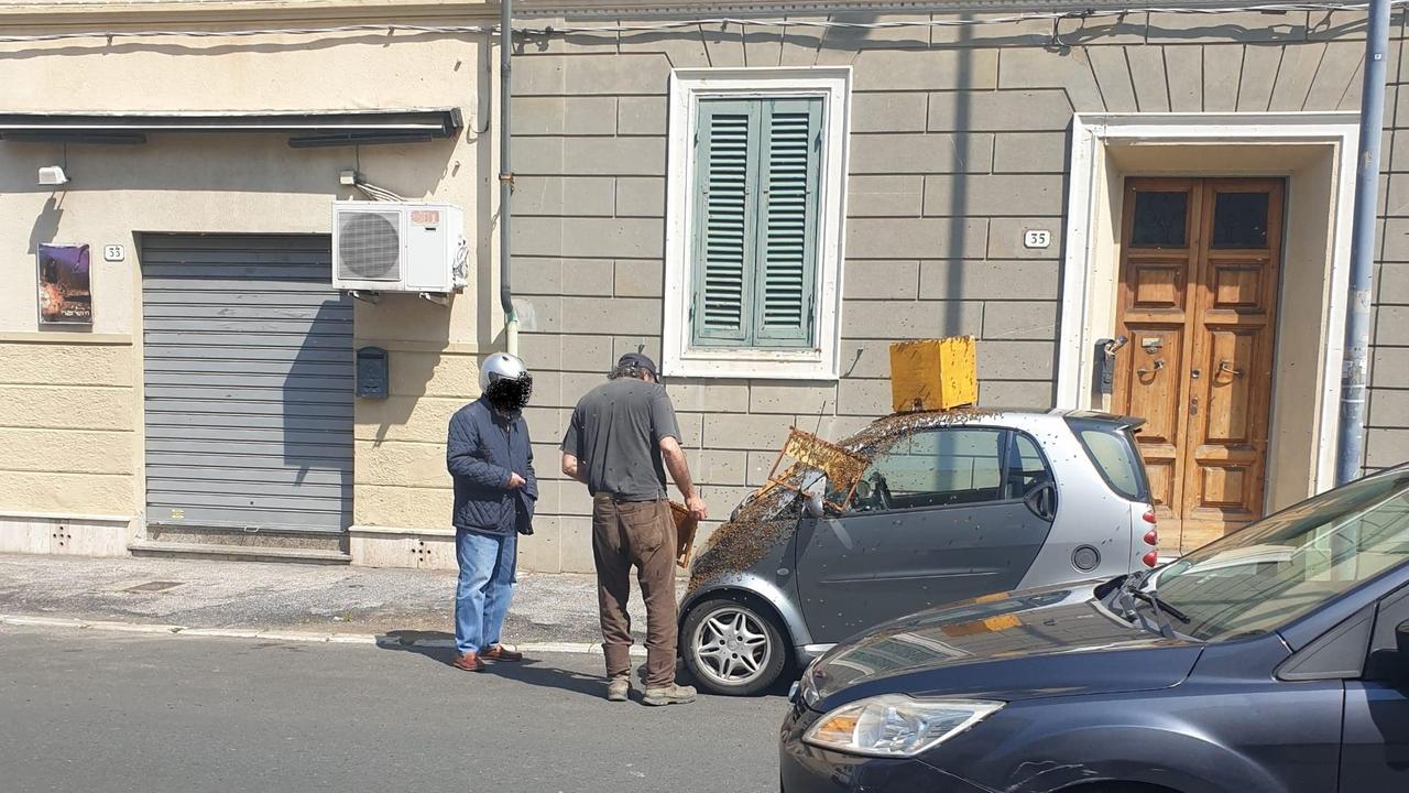 La Smart piena di api