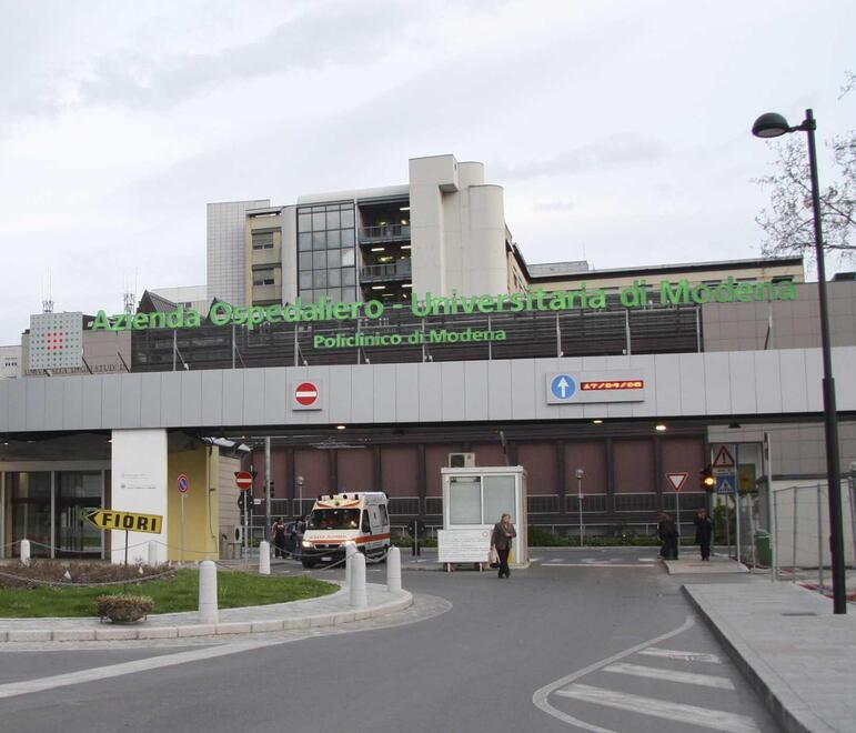 Policlinico di Modena: allarme api all’ospedale: chiuse due sale parto 