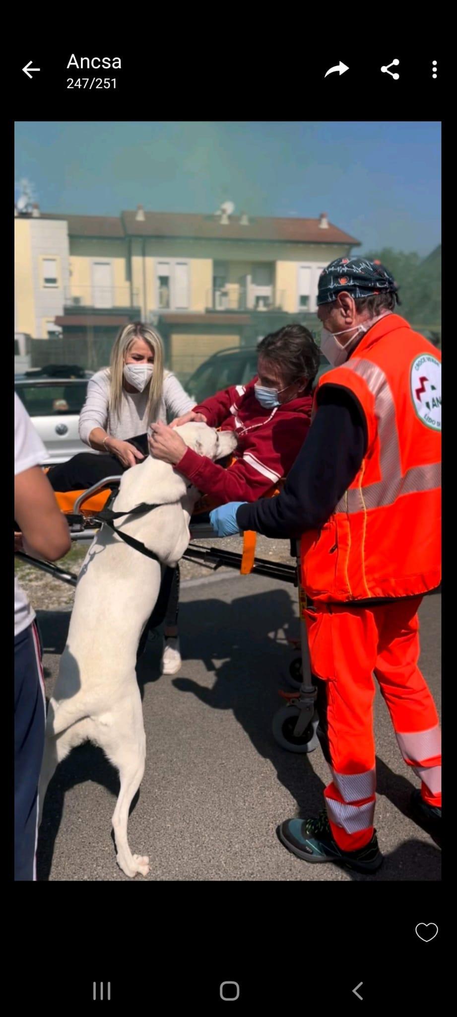 Dal coma alla vita, Michele è tornato a casa dopo 80 giorni in ospedale: «Sei un guerriero» 