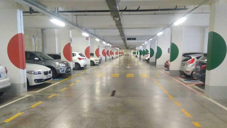 Bertolasi (Pd) interpella: «Parcheggi per disabili occupati da abusivi»