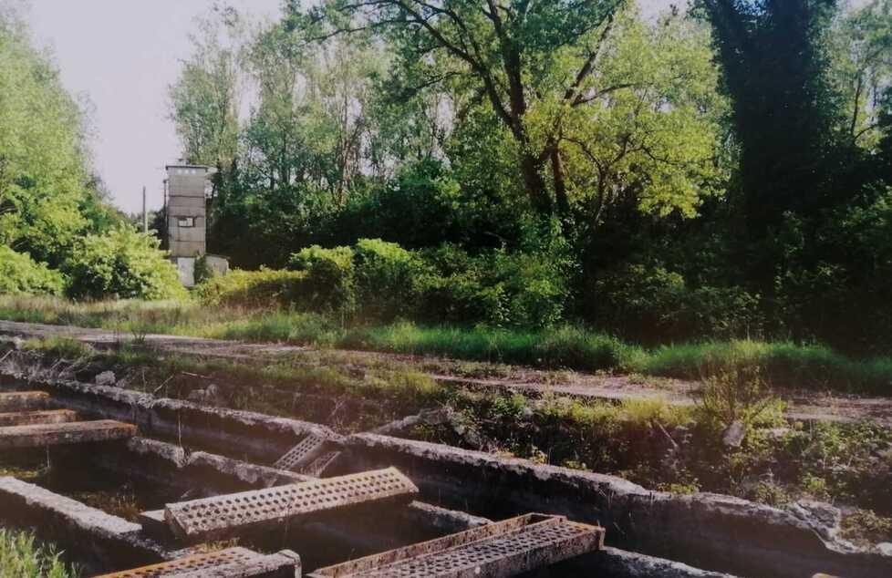 Il biobosco creato da Unicoop al posto di cemento e amianto 