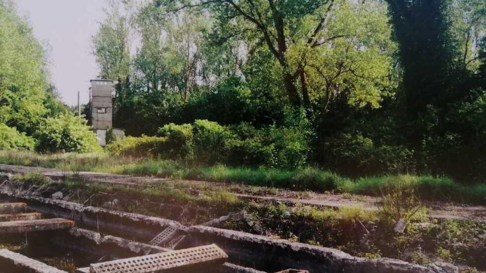 Il biobosco creato da Unicoop al posto di cemento e amianto