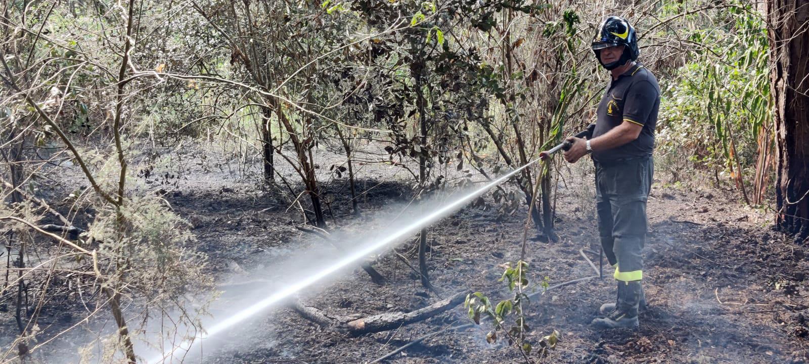 Un vigile del fuoco al lavoro nella pineta di Mesola / foto archivio