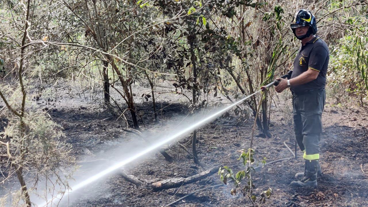 Un vigile del fuoco al lavoro nella pineta di Mesola / foto archivio