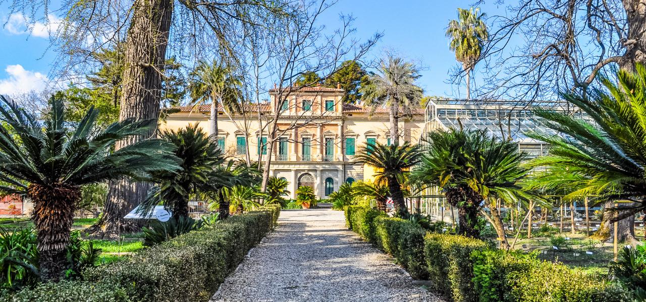 Una giraffa all'Orto botanico poi trasferita a San Rossore, lo studio conferma la leggenda 