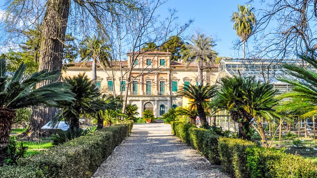 Una giraffa all'Orto botanico poi trasferita a San Rossore, lo studio conferma la leggenda