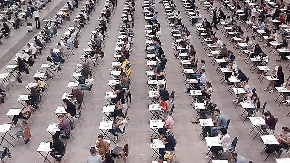 Pisa, concorsi per impiegati amministrativi: i posti in Comune, Provincia e Università