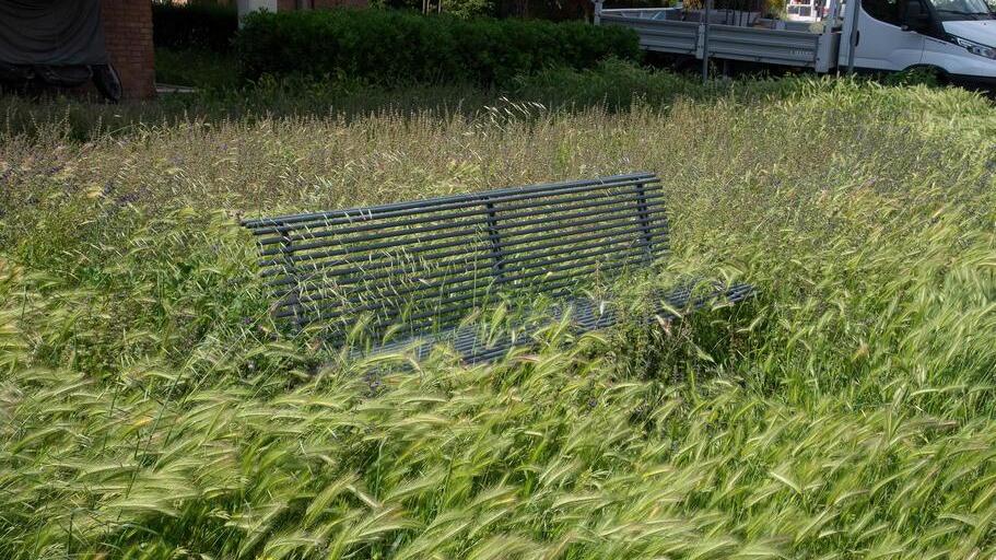 L’onda verde sopra la città, Sistema chiama i rinforzi