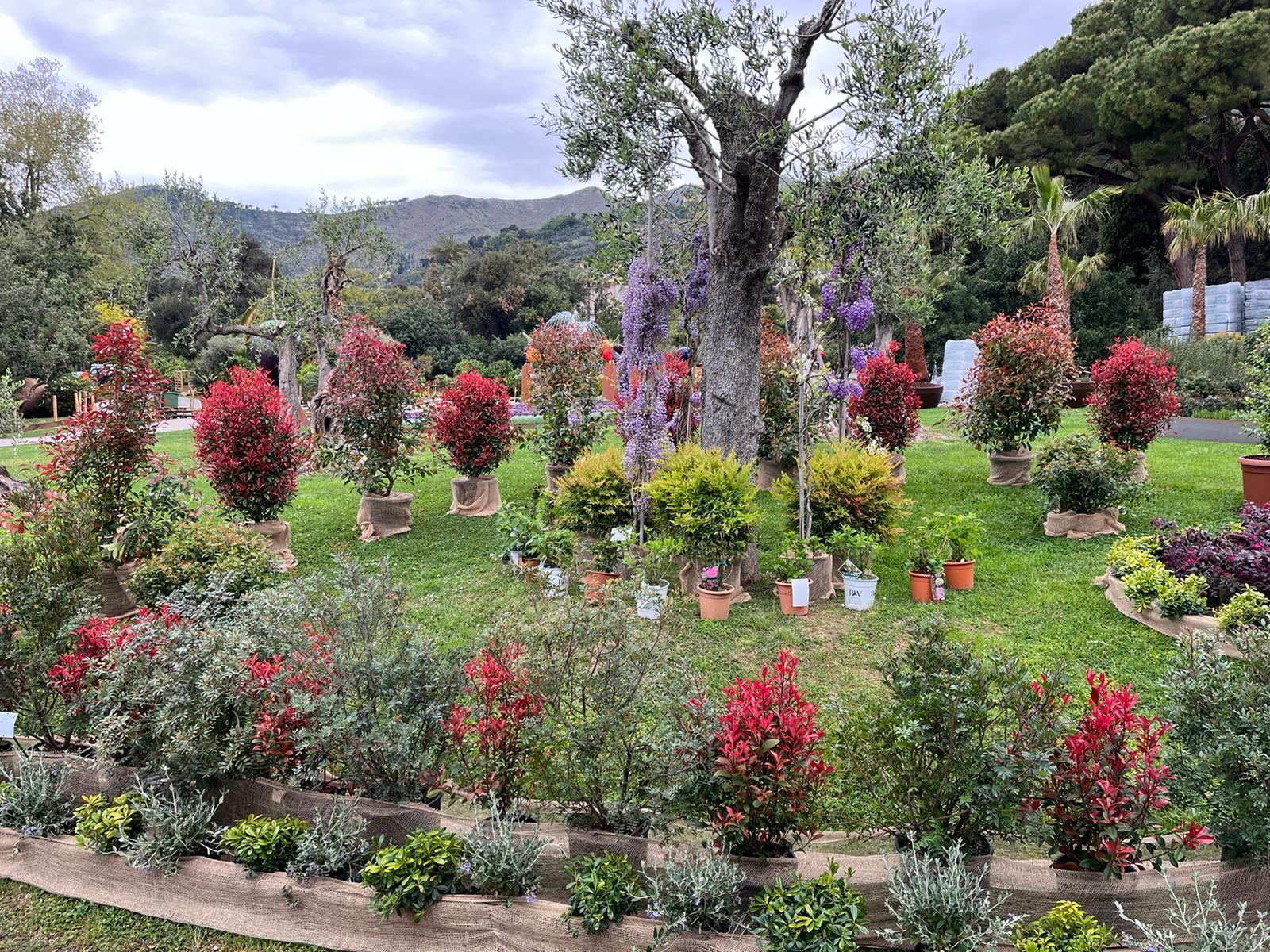 Una parte dello spazio Olea, la rete di floricoltori pesciatini