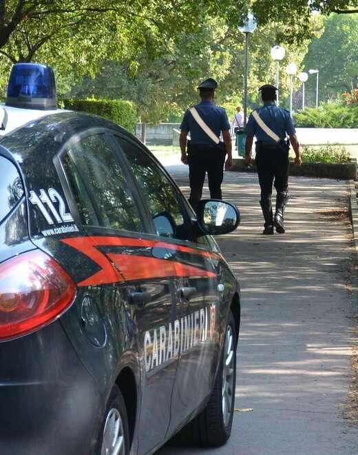 Modena. La aggredisce al parco XXII aprile con un rubinetto e colpisce il cane 