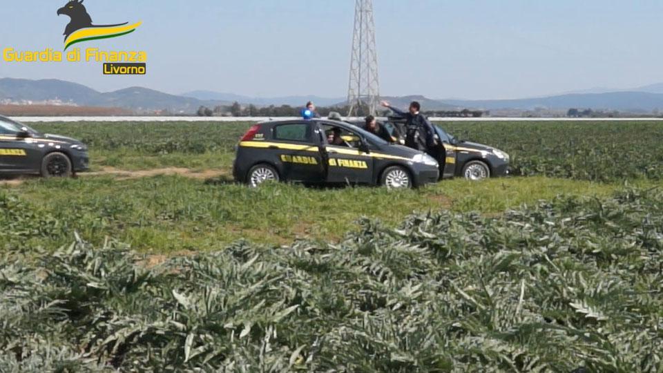 I militari della Guardia di finanza di Piombino durante un sopralluogo in campagna