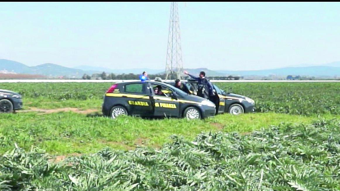 Controlli della Guardia di Finanza nelle aziende agricole