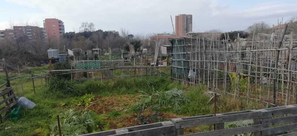 Uno degli orti urbani compresi tra le vie dell’Ambrogiana, Goito, da Verrazzano e Corazzi-Cecioni
