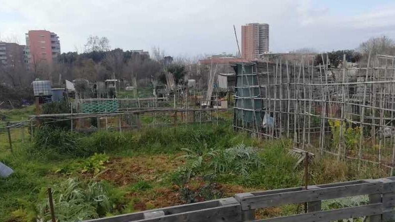 Uno degli orti urbani compresi tra le vie dell’Ambrogiana, Goito, da Verrazzano e Corazzi-Cecioni