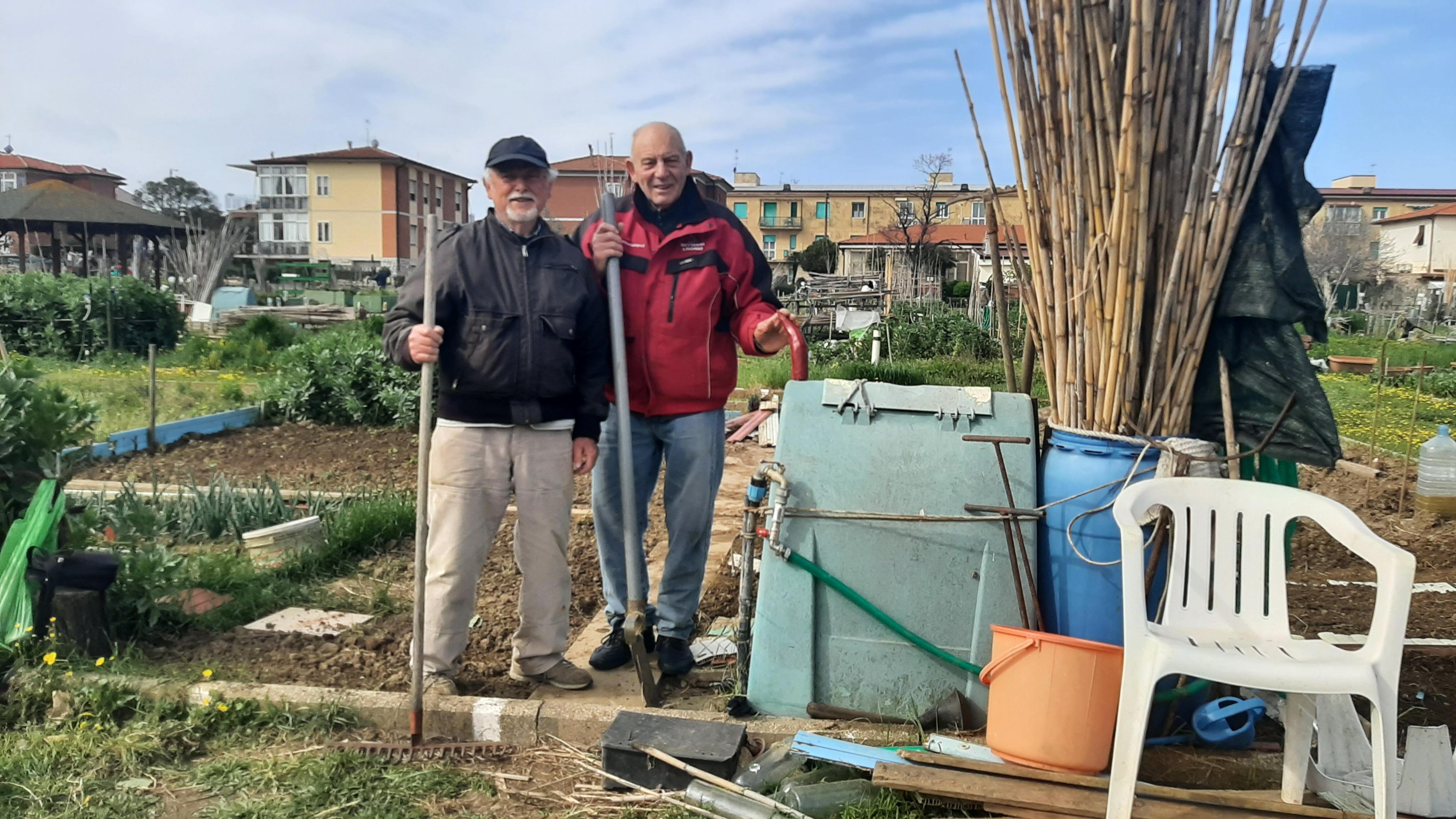 Una foto degli orti sociali