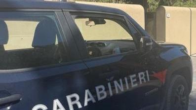 I carabinieri hanno scoperto il giro di spaccio su WhatsApp (Foto di repertorio)