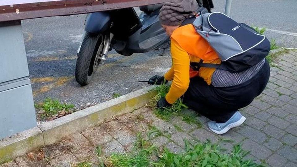 Immagini di volontari in azione e, a destra in alto, il frutto del lavoro: il sudicio raccolto e pronto per essere smaltito
