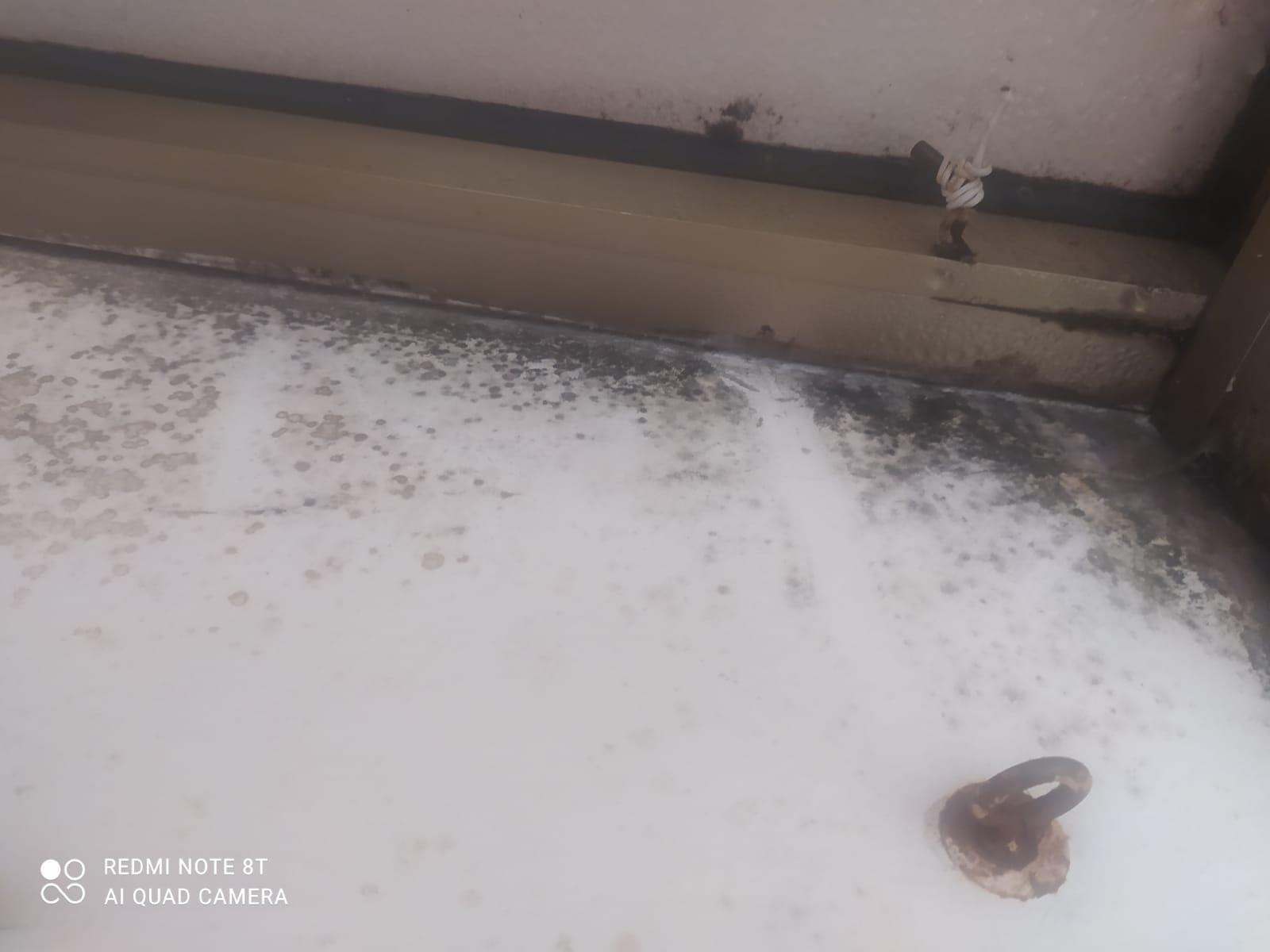 la muffa nella casa abitata dalla madre sfrattata