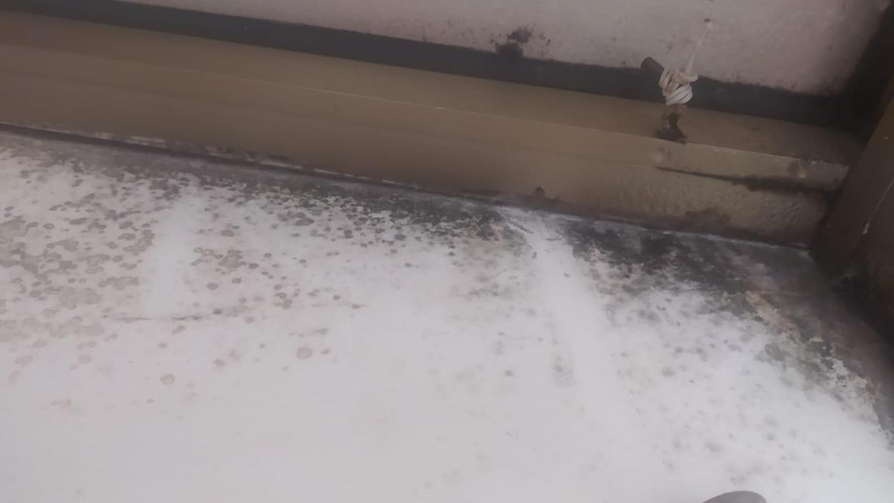 la muffa nella casa abitata dalla madre sfrattata
