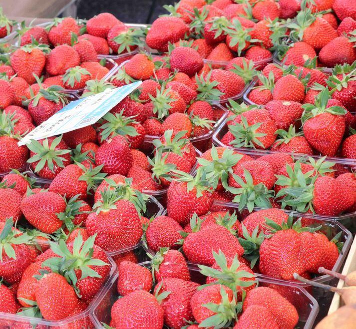 Tutto il rosso della fragola. A Lagosanto si fa festa con il frutto più gustoso 