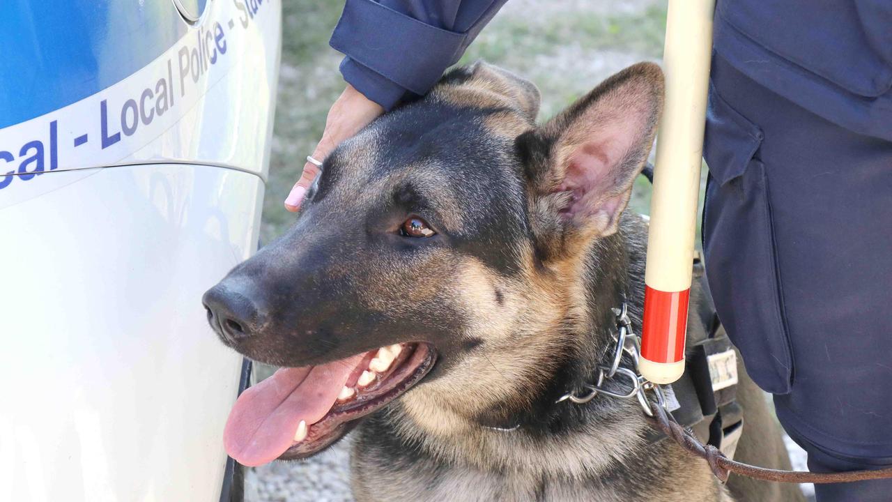 Il cane Aaron è un "agente" scelto antidroga della Polizia locale