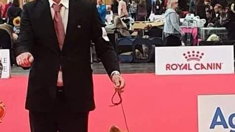 Bellissimi cani trionfano a Parigi, il loro allevamento è a Renazzo