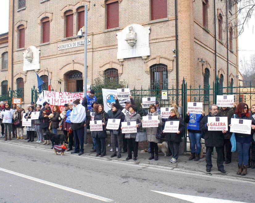Cane ucciso a fucilate dal padrone, il collega non c'era ed è assolto
