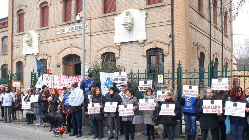 Cane ucciso a fucilate dal padrone, il collega non c'era ed è assolto