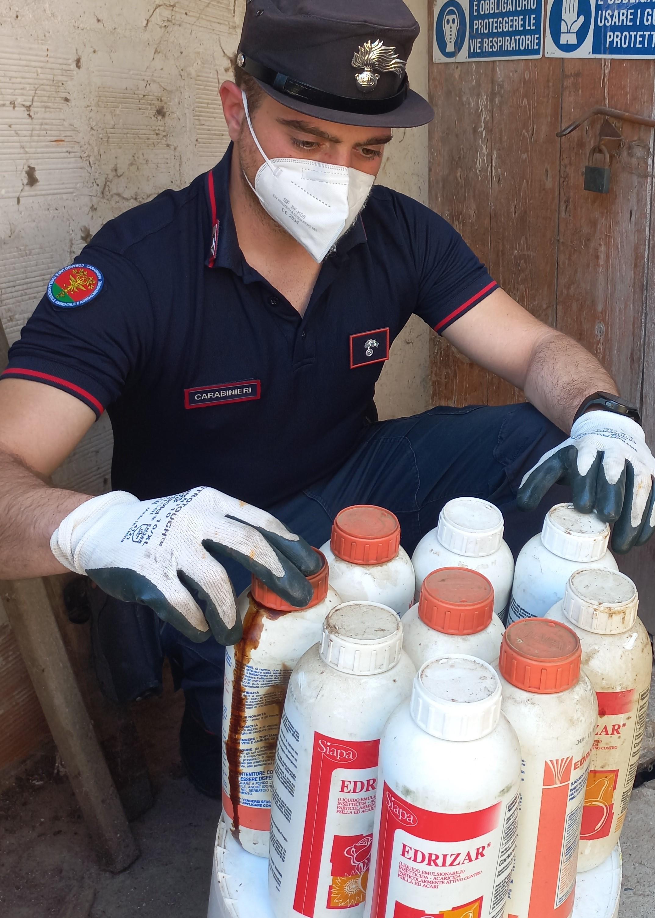 Comprensorio ceramico, trovato con fitosanitari ritenuti pericolosi: denunciato un agricoltore di 65 anni