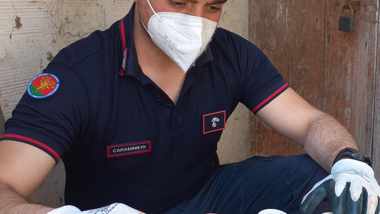 Comprensorio ceramico, trovato con fitosanitari ritenuti pericolosi: denunciato un agricoltore di 65 anni