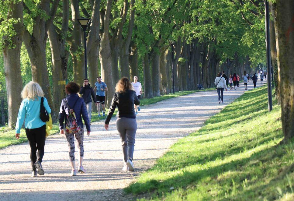 Caldo anomalo, troppe zecche. Ecco gli sfalci contro la proliferazione 