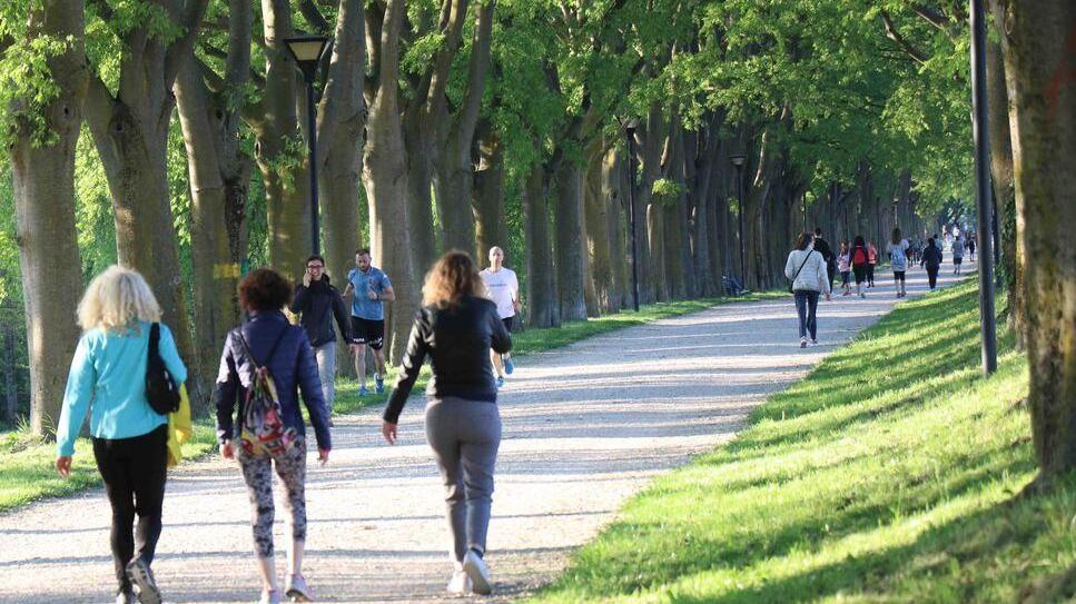 Caldo anomalo, troppe zecche. Ecco gli sfalci contro la proliferazione