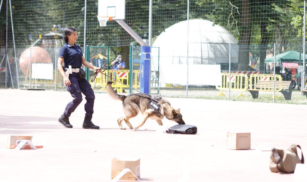 Cani antidroga in rassegna, così aiutano le polizie locali 