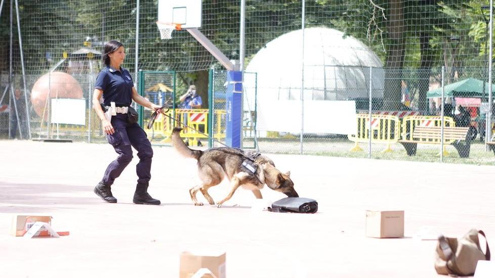 Cani antidroga in rassegna, così aiutano le polizie locali